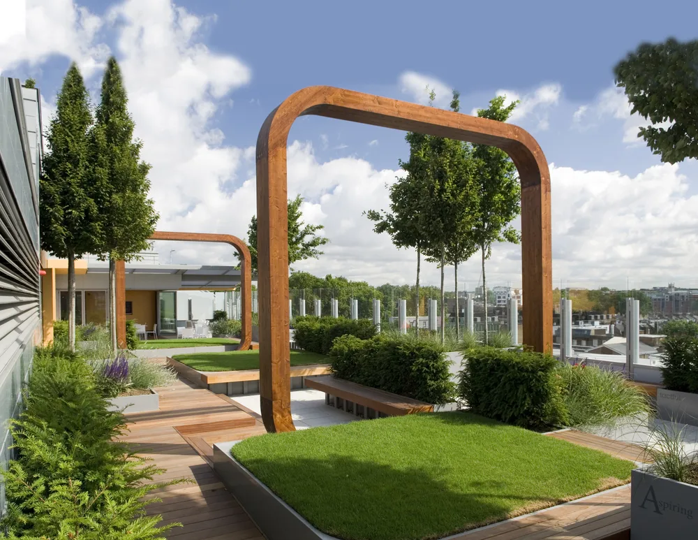 Minova Tree stabilisation with Eye Bolts